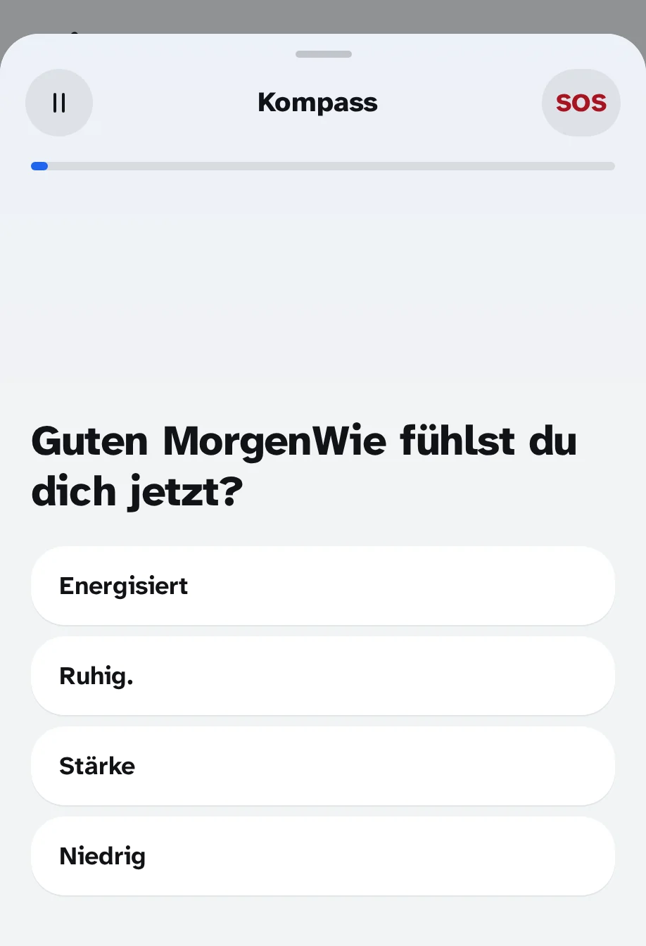 Der Kompass der App: "Guten Morgen. Wie fühlst du dich jetzt?" mit vier Antworten: Mit Energie, In Frieden, Mit Spannung, Down of Morale.
