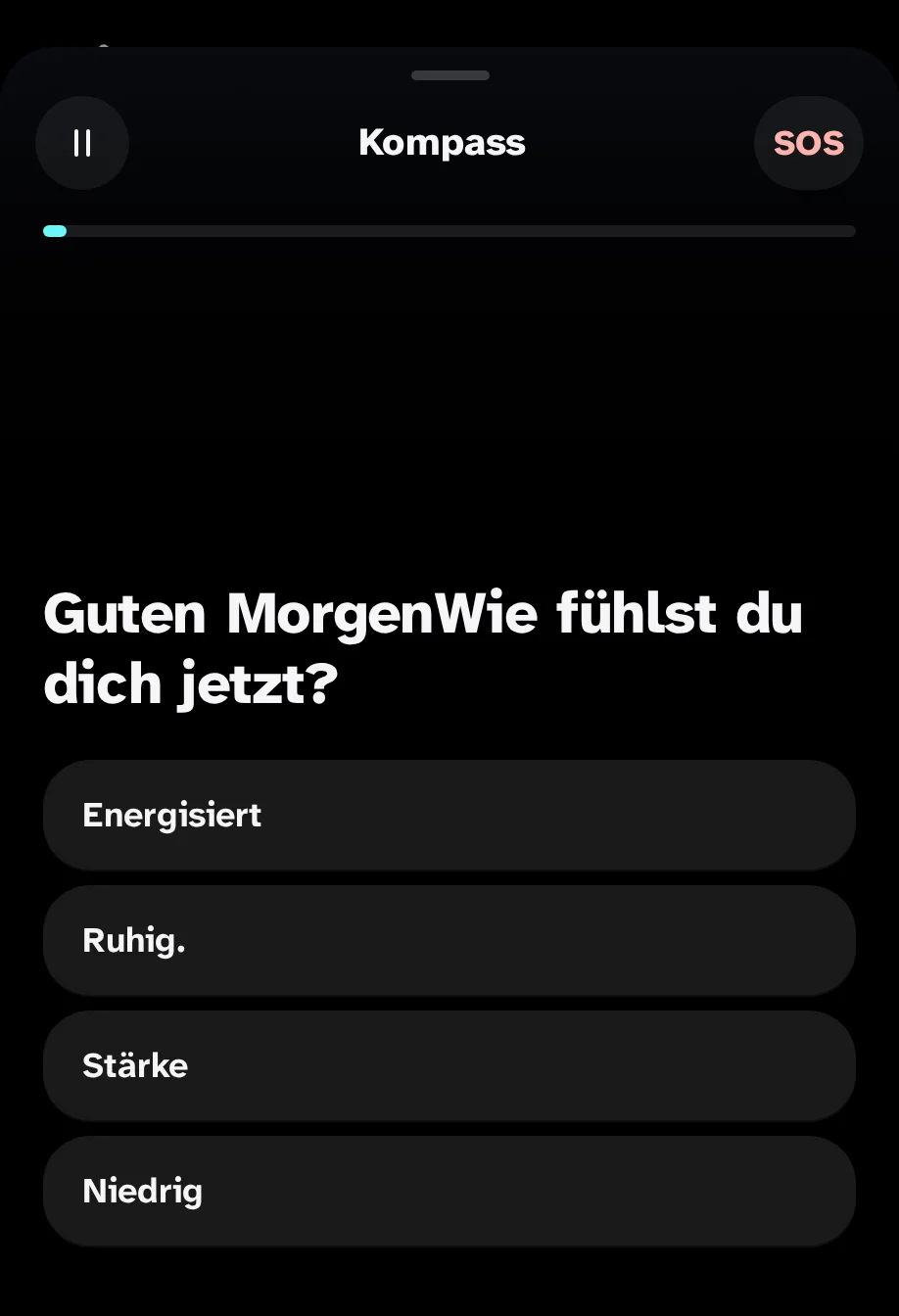 Der Kompass der App: "Guten Morgen. Wie fühlst du dich jetzt?" mit vier Antworten: Mit Energie, In Frieden, Mit Spannung, Down of Morale.